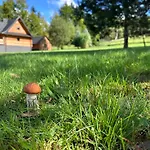 Piechowka - Goraca Balia I Widok Na Gory Hébergement de vacances Pewel Wielka