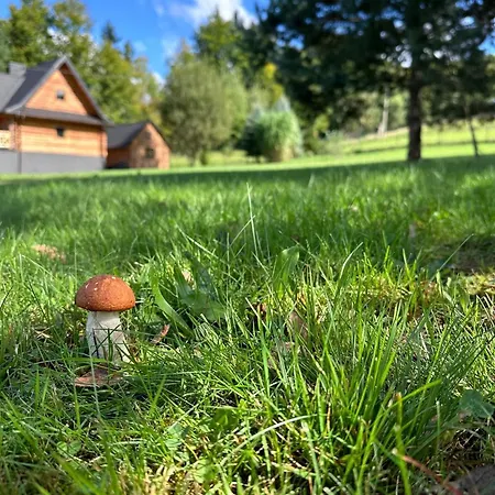 Piechówka - Góralski Dom Z Bala Z Gorącą Balią I Widokiem Na Góry Casa de Férias Pewel Wielka