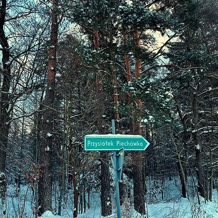 Vakantiehuis Piechowka - Goraca Balia I Widok Na Gory Pewel Wielka