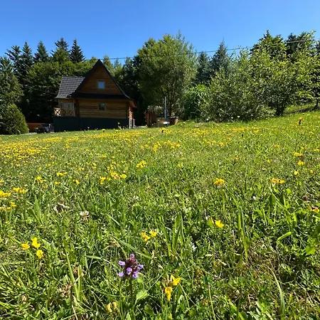 Casa de Férias Piechówka - Góralski Dom Z Bala Z Gorącą Balią I Widokiem Na Góry