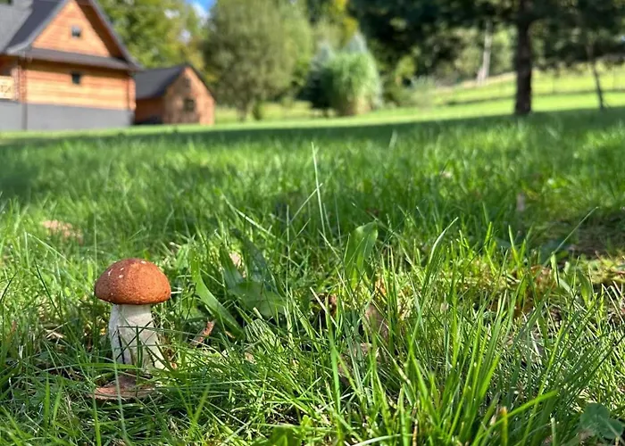 Piechówka - Góralski Dom Z Bala Z Gorącą Balią I Widokiem Na Góry Сasa de vacaciones Pewel Wielka