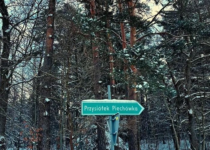 Hébergement de vacances Piechowka - Goraca Balia I Widok Na Gory Pewel Wielka